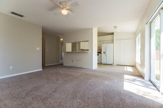 13117 Moonflower Ct in Clermont, FL - Building Photo - Building Photo