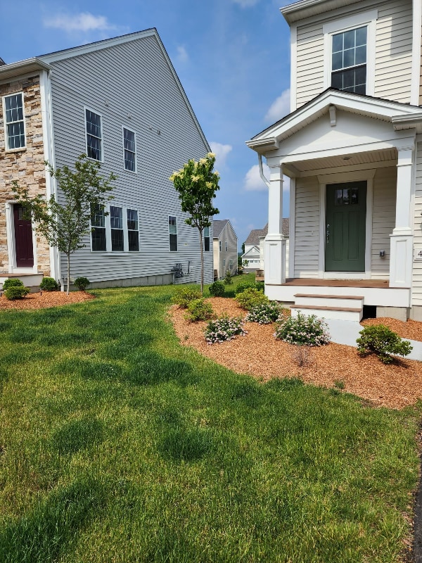 property at 49 Aspen Way