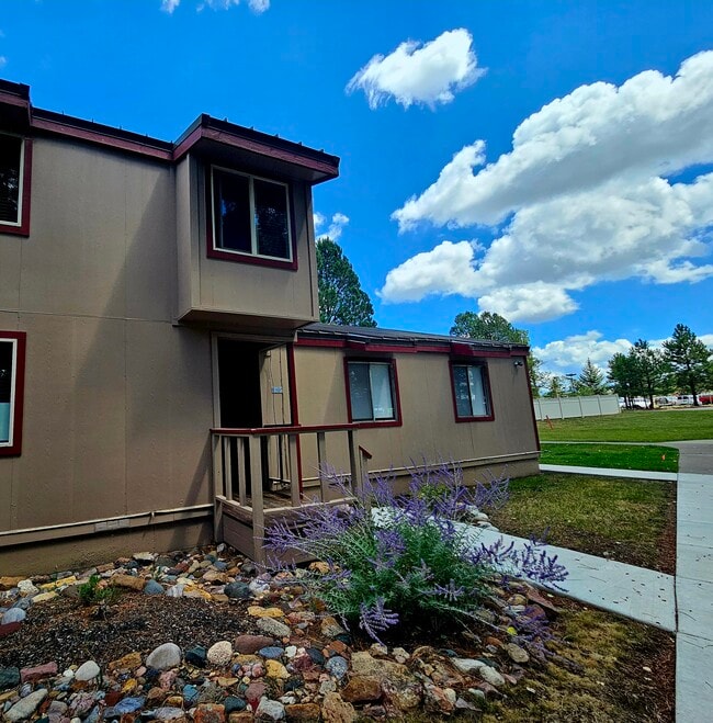 217 Pinon Causeway in Pagosa Springs, CO - Building Photo - Building Photo