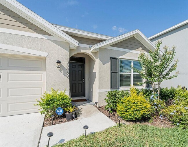 33488 Elm Hl Br in Wesley Chapel, FL - Building Photo - Building Photo