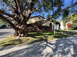 511       Washington St in Santa Cruz, CA - Foto de edificio - Building Photo