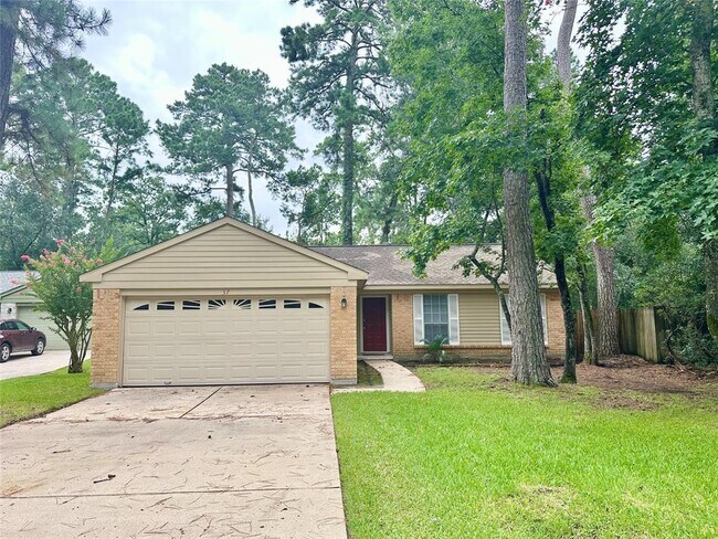 37 S Brookberry Ct in Spring, TX - Building Photo - Building Photo