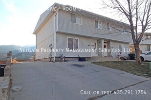 1193 Pinecone Dr in Cedar City, UT - Building Photo
