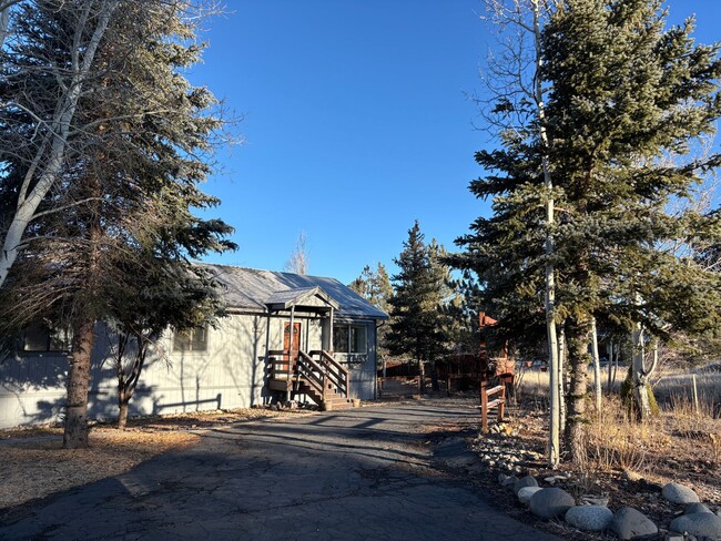 10510 Courtenay Ln in Truckee, CA - Building Photo - Building Photo