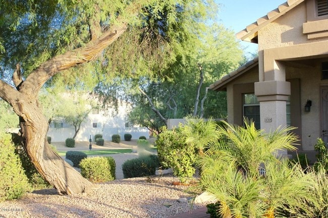 4769 W Detroit Ct in Chandler, AZ - Building Photo - Building Photo