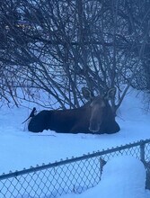 319 W 12th Ave in Anchorage, AK - Building Photo - Building Photo