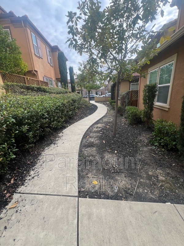 3203 Vittoria Loop in Dublin, CA - Building Photo - Building Photo