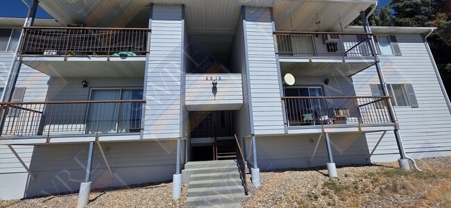 property at 2916 Plumtree Dr