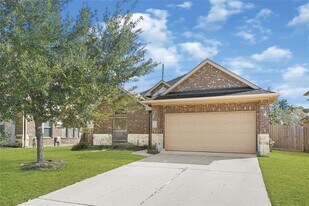 11011 Gallant Flag Dr in Tomball, TX - Building Photo
