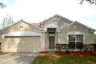 26821 Roseann Pl in Lutz, FL - Building Photo