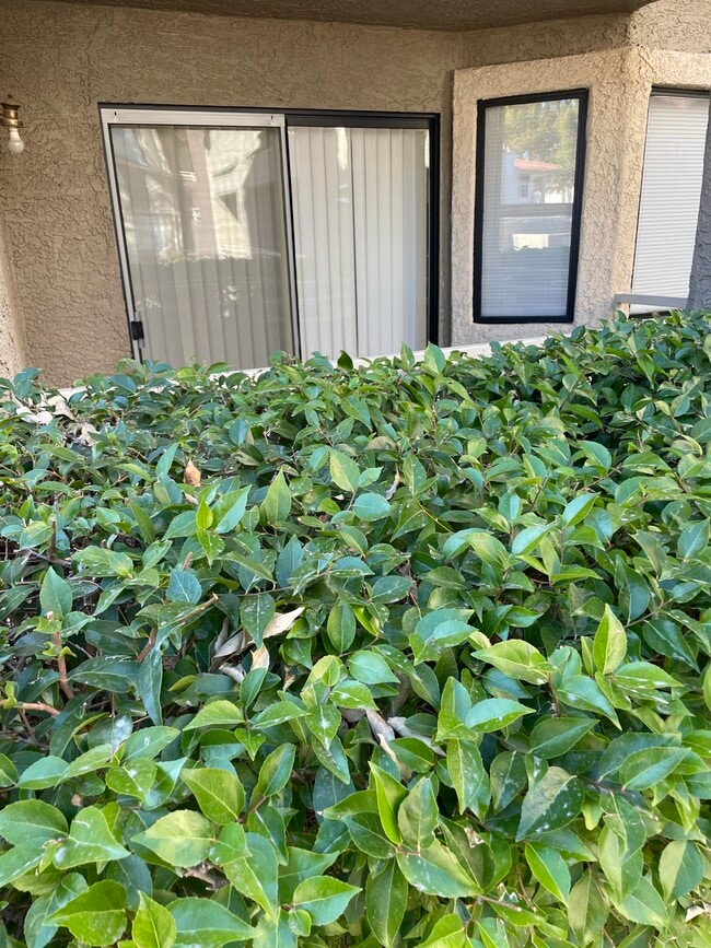property at 5038 S Rainbow Blvd