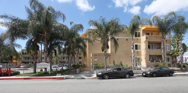 Bellflower Terrace in Bellflower, CA - Foto de edificio - Building Photo