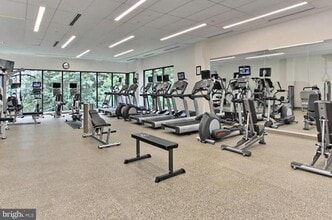 5901 Mount Eagle Dr, Unit 1517 in Alexandria, VA - Building Photo - Building Photo