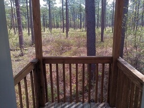 41 Pinto Ct in Havelock, NC - Building Photo - Building Photo