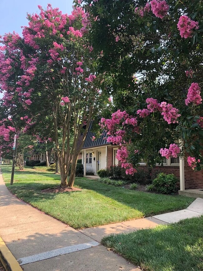 453 Hampton Ct in Falls Church, VA - Building Photo - Building Photo