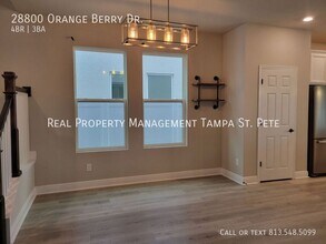 28800 Orange Berry Dr in Wesley Chapel, FL - Building Photo - Building Photo