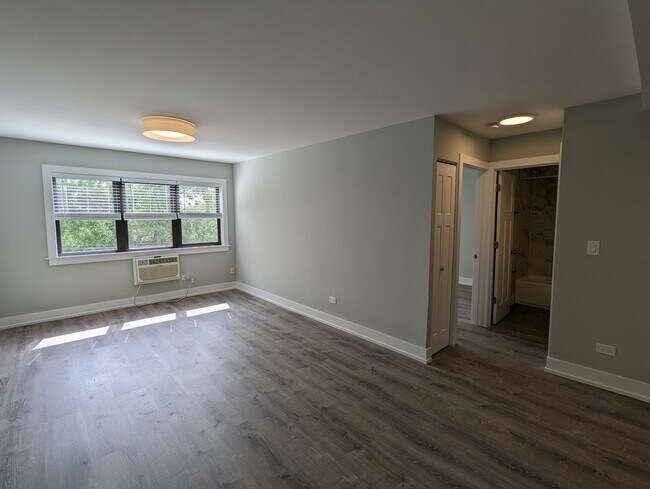 511 W Barry Ave, Unit #445-425 in Chicago, IL - Foto de edificio - Building Photo