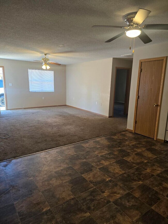300 W Ford St in Energy, IL - Building Photo - Building Photo