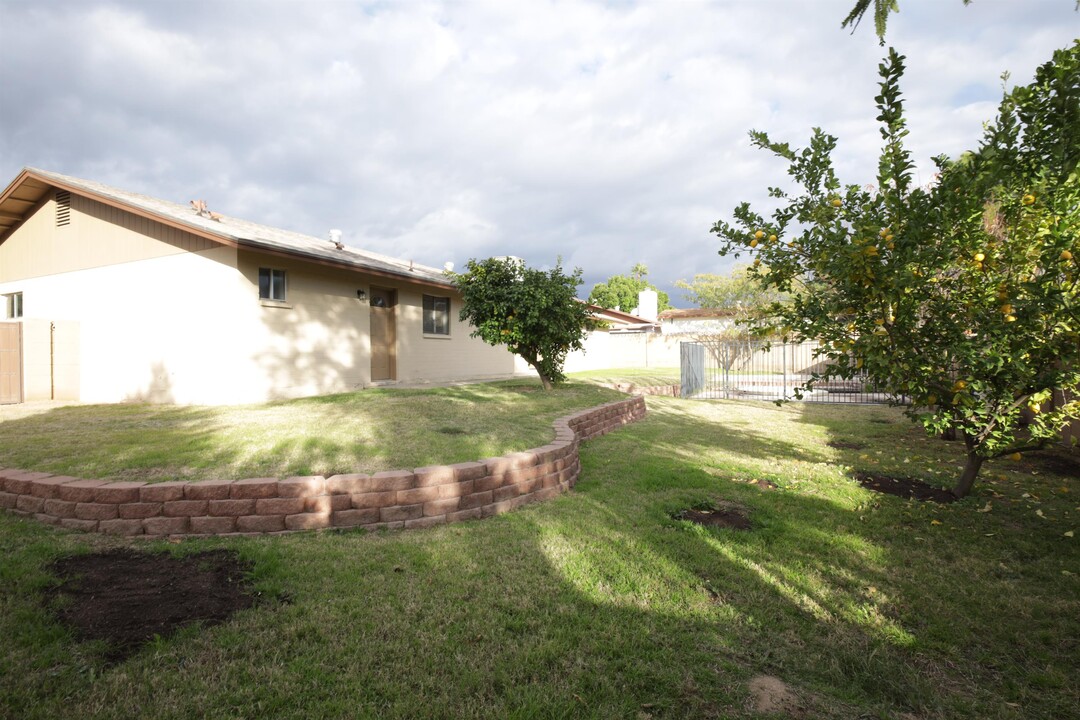 6057 E McLellan Rd in Mesa, AZ - Building Photo