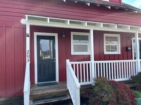 203 16th St NE in Long Beach, WA - Building Photo