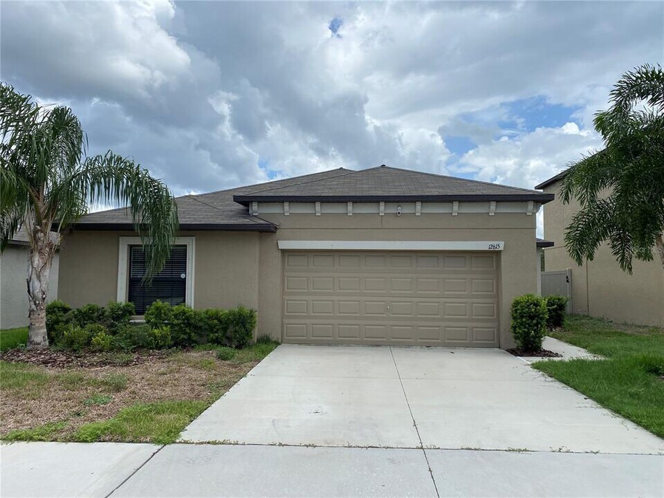 12615 Lemon Pepper Dr in Riverview, FL - Foto de edificio