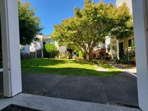 120 Golden Ridge Ave in Sebastopol, CA - Foto de edificio - Building Photo