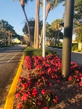 816 Normandy Q in Delray Beach, FL - Building Photo - Building Photo