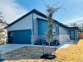 161 Filifera Ct in Leander, TX - Building Photo