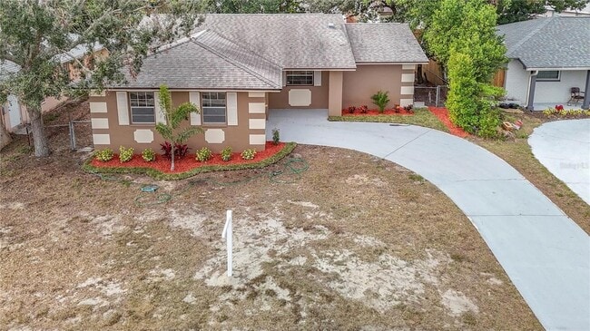 1612 Fox Run Dr in Tarpon Springs, FL - Building Photo - Building Photo