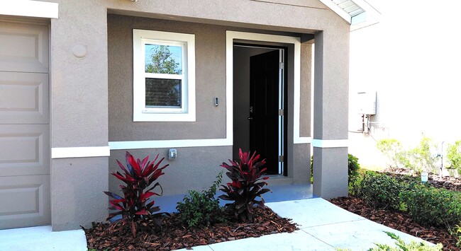 36171 Sunflower Hill Dr in Zephyrhills, FL - Building Photo - Building Photo