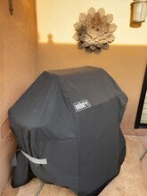 11 Palma Dr in Rancho Mirage, CA - Foto de edificio - Building Photo