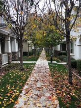 319 W Tuscan Ln in Mountain House, CA - Building Photo - Building Photo