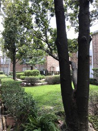 2121 Fountain View Dr photo'