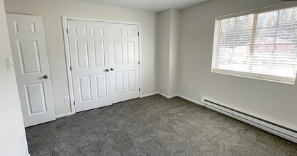 275 Chisholm Way in Alma, CO - Building Photo - Building Photo