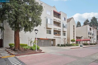 3173 Wayside Plaza in Walnut Creek, CA - Building Photo - Building Photo