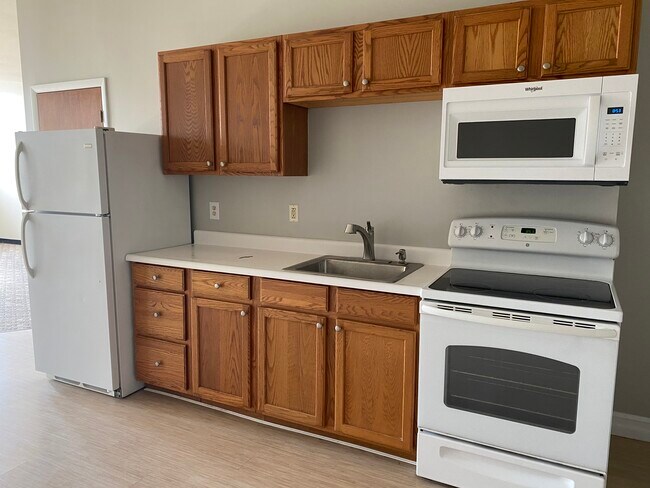 171 W 1st St, Unit 4 in Oswego, NY - Building Photo - Building Photo