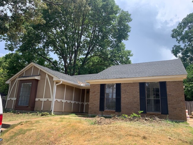 property at 3036 Willow Ln Dr