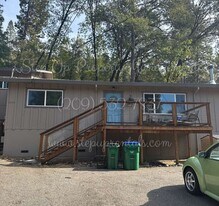 22101 Crystal Falls Dr in Sonora, CA - Building Photo