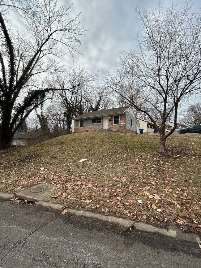 115 Spring Garden Dr in St. Louis, MO - Building Photo - Building Photo