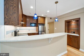 1415 Chapin St NW in Washington, DC - Building Photo - Building Photo
