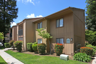 Pine Tree Village Apartments in Fresno, CA - Building Photo - Building Photo