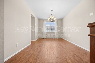 6420 Agave Ave in Castle Rock, CO - Building Photo - Building Photo