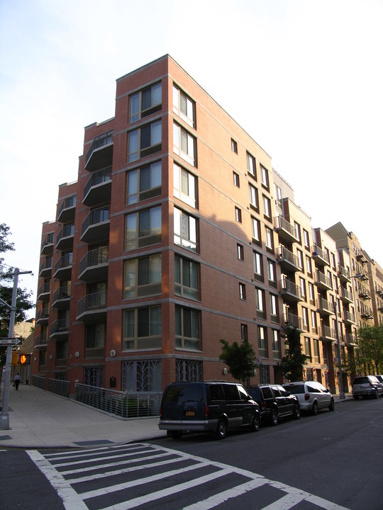 715 Fox St in Bronx, NY - Building Photo