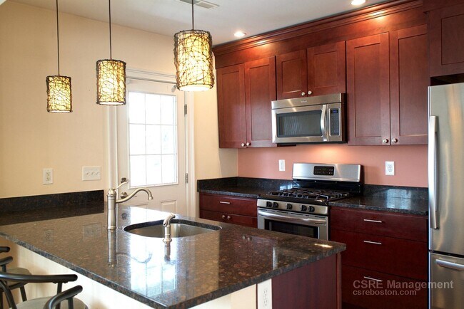 66 Litchfield St, Unit 1 in Boston, MA - Building Photo - Building Photo