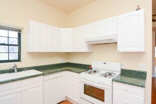 218 W Division St, Unit 3 in Chicago, IL - Building Photo