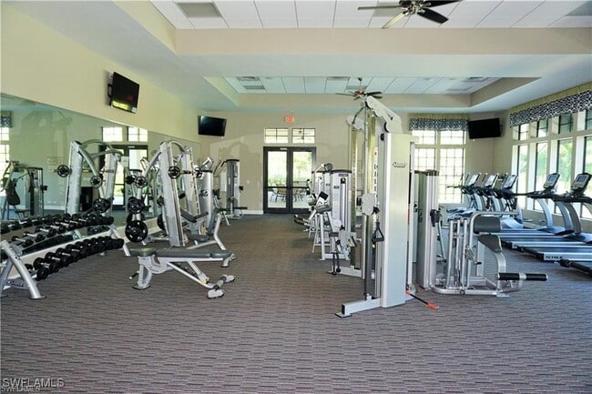 property at 4232 Raffia Palm Cir