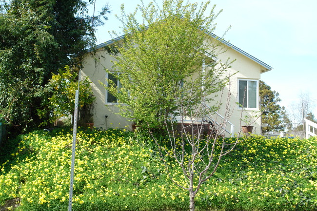 1500 Josephine St in Berkeley, CA - Building Photo - Building Photo