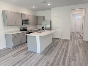 11367 Velvet Apricot Dr in Land O Lakes, FL - Building Photo - Building Photo