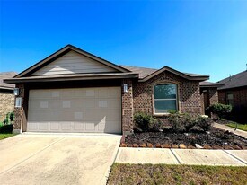 28806 Innes Park Pl in Katy, TX - Building Photo