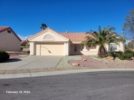 3117 Birch Grove Ct in Las Vegas, NV - Building Photo